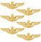 DICOSMETIC 6 Stück Flügel Pin Pilot Metall Flügel Pin Aviator Pins Air Force Senior Pilot Wing Gold Wing Pilot Abzeichen Legierung Brosche Kostüm Revers Pin Für Hut Hemd Uniform