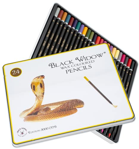 Buntstifte Farbige Bleistifte für Erwachsene, das beste Farbbleistift Set für Erwachsenen Malbücher, Top Qualität 24 Stück Schwarzholz Zeichnen Kit zur Verwendung in ihrer
