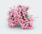 celloexpress Pink 6cm Artificial Flower Stamens - Pearlised Teardrop Beads on Wire for Wreaths, Garlands, Floral Arrangements, Festive Decorations (Pack of 60)