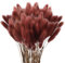 60 Pcs Getrocknetes Pampasgras,Lagurus Getrocknet,Trockenblumen Bodenvase,Pampasgras Blumenstrauß,Trockenblumen Blumenstrauß Deko, Künstlich Groß Trockenblumen