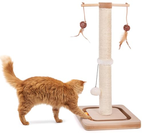 CanadianCat Company | Kratzstamm für Katzen - Charly - mit Spielzeug | interaktives Katzenspielzeug selbstbeschäftigung | mit 60cm-hoher Kratzsäule | ca. 29 x 29 x 65 cm