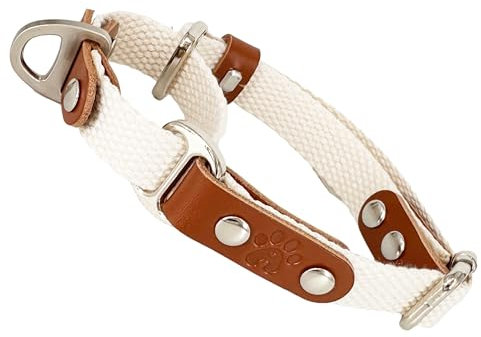 Martingalhalsband Hundewürgehalsband, Anti-Zug, Poly-Baumwolle und Leder. XS. Beige & Cognac