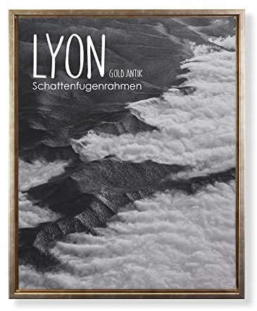 BIRAPA Lyon Keilrahmen für Canvas 80x160 cm in Gold Antik, Rahmen für Leinwände, Leerrahmen für Leinwand, Schattenfugenrahmen für Keilrahmen, Leinwand Rahmen