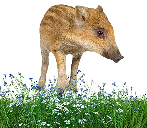 Povanjer Schwein-Gartenstatue - Doppelseitige Enten-Gartenstecker, Acryl-,Wetterfeste Schwein-Gartendekoration, Hofkunst für Garten, Rasen, Terrasse, Außendekoration