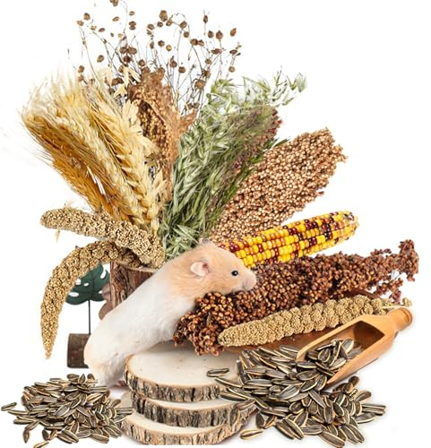 Natural Grain Flower&Herb Hamster Habitat Cage Accessories Bedding Decor | Natural Ear of Grain Flower&Herb Bedding Mate Habitat Decor, Adding Fun Hamster Accessories for Hamsters Gerbils Lemming
