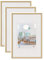 Walther Design Cadre photo Or 30 x 45 cm 3 pack, New Lifestyle cadre en plastique KV045G3