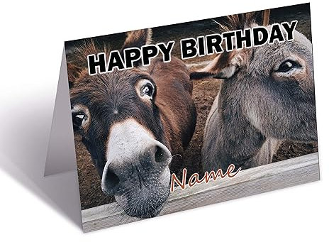 AK Giftshop Geburtstagskarte mit Eselmotiv, personalisierbar