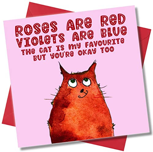 Punkcards - Lustige Valentinstagskarte für Katzenliebhaber - Roses Are Red Violets Are Blue - Valentinstag für Frauen - Lustige Valentinstagskarte Katze - Für Frauen oder Männer