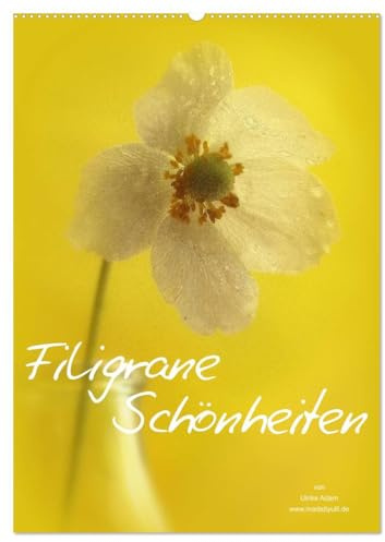 Filigrane Schönheiten 2026 (Wandkalender 2026 DIN A2 hoch), CALVENDO Monatskalender: Filigrane Schönheiten unserer Natur (CALVENDO Natur)