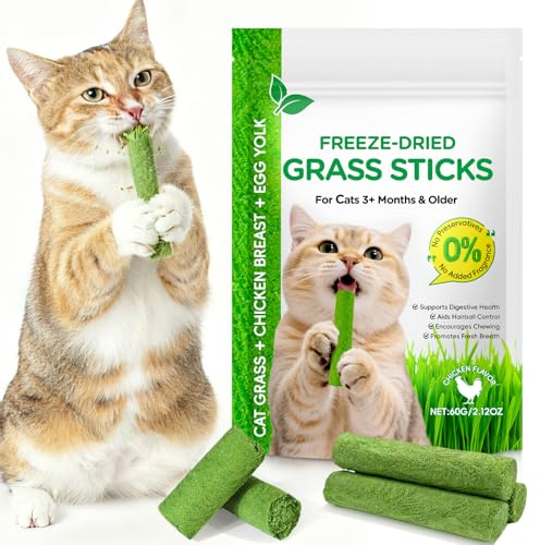 Cat Grass Stick, Cat Grass Teething Stick, Natural Oral Cleaning, Cats Treats for Teeth Cleaning and Hairball Removal - 60g
