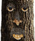 Relaxdays Baumgesicht Naturgeist, 4-teilig, Baumstamm Deko, wetterfest, Baumdeko zum Hängen, Gartendeko, braun/beige, 8.5 x 11 x 3 cm