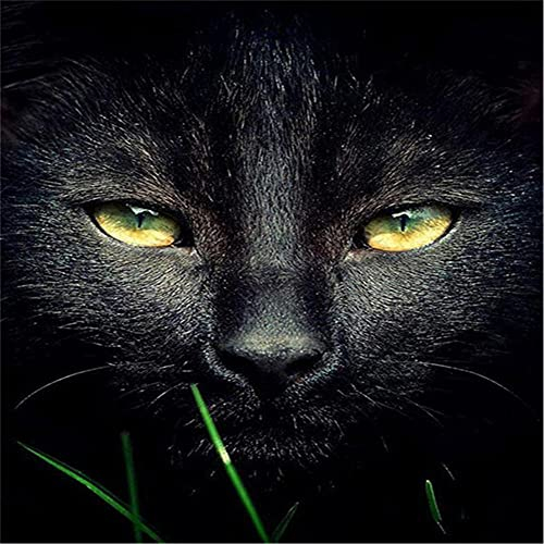 1000 pièces de Puzzles Pour adultes, Puzzles colorés de Chat Noir Pour Enfants et Adolescents de 12 ans et Plus, Art de Puzzle éducatif difficile Pour Hommes et Femmes 75x50cm (29.53x19.69inch)