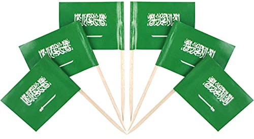 QQSD Saudi Arabia Zahnstocher Flagge Saudi Arabian Kleine Mini Cupcake Topper Flaggen, 100 Stück
