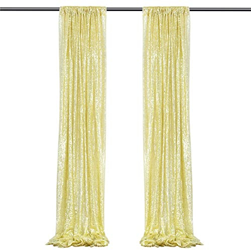 LUMoony 61 * 243cm Party Fadenvorhang mit Pailletten Hochzeit Fadengardine Pailletten Hintergrund Vorhängen Glitzer HintergrundPailletten Vorhänge Dekoration Hintergrund Türvorhang 2Pcs