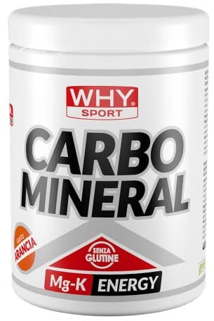 WHY SPORT CARBO MINERAL - Carboidrati con Maltodestrine - Potassio - Magnesio - Integratore Alimentare - Gusto Arancio - 400 gr