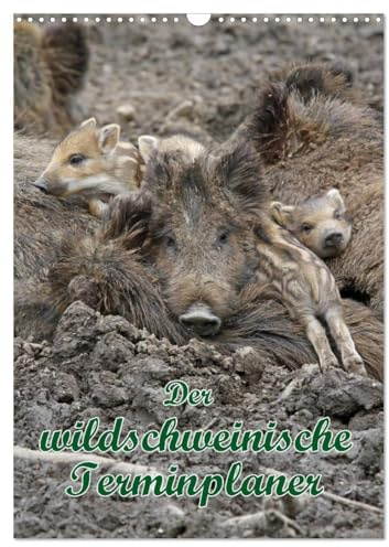 Der wildschweinische Terminplaner (Wandkalender 2026 DIN A3 hoch), CALVENDO Monatskalender: Schwarzkittel in heimischen Wäldern (CALVENDO Tiere)