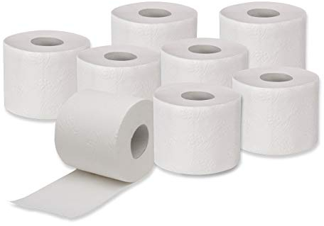 Toilettenpapier 2-lagig 250 Blatt naturweiß/grau - 64 Rollen / 8 Packungen