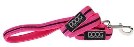DOOG Neopren-Hundeleine – Lady (Neon) | Gut sichtbare, im Dunkeln leuchtende, wasserfeste und strapazierfähige Nylonleine für aktive Hunde – Klein