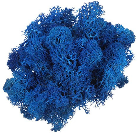 Happyyami 1 Satz Falsche Decoraciones para Sala De Casa Künstlich Für Pflanzer Aquarium Moos Pflanzenmoos Wandreben Simulationsornament Grüne Wand Schaum Haushalt Dekorationszubehör