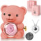 Hnustbo Rosa Eterna Stabilizzata con Collana I Love You, Rose Orso Originale Regalo per Donna Fidanzata Mamma Madre Nonna Moglie per San Valentino,Festa della Mamma,Compleanno,Natale