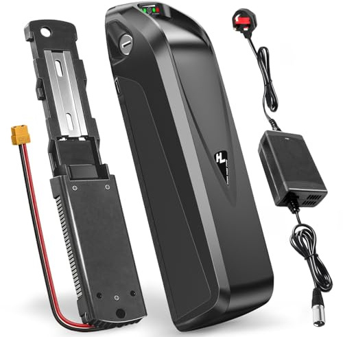 Ecovoltix 48V 20AH Ebike Battery with Charger & USB, Lithium Electric Bike Battery Built-in 30A BMS, LED Indicator Light for 0-1000w Motor