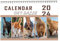 Dünne Ordner 2024, lustiger Kalender, 12-Monats-Katzenball-Kalender mit Platz für Notizen, skurrile lustige Katzenfotos Eis Adventskalender 2022 (White, One Size)