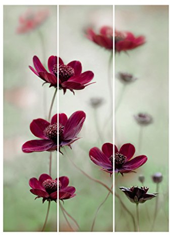 Bilderwelten Schiebegardinen Pinke Kosmeen Flächenvorhang, Wandhalterung 3X á 250 x 60cm