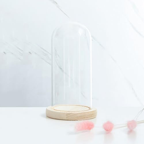 Laneryin Glasglocke mit Holzboden, Hoch Transparente Glasbox Dome Cloche, Robust Langlebig glasglocke zur Präsentation von Pflanzen, Ornamenten, Figuren (9x20cm)