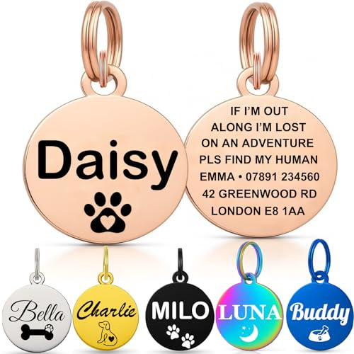 Personalised Dog Tags for Pets UK Prime, Deep Engraved Cat Dog Name ID Tags, Stainless Steel Pet Tag for Doggy Kitten Kitty Puppy, Scratch Resistant Tag (Champagne Gold Round, L)