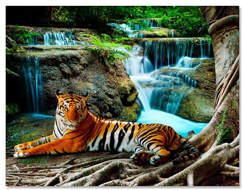 wandmotiv24 Leinwandbild Tiere, Querformat, Tiger Wasserfall M0098
