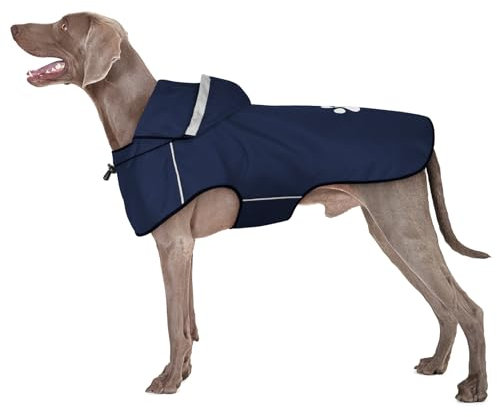 BiPawTi Regenjacke Hund Wasserdicht für Große Hunde, Hund Regenmantel mit Reflektierenden Kapuze & Klettverschluss - Ultraleicht Hunderegenmantel Regenjacken für Hunde Sichere Gassigänge (XL | Blau)