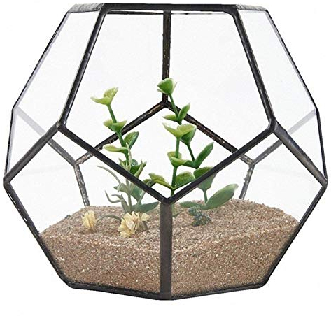 Macetas de Plantas Cristal Negro Pentágono geométrica terrario de contenedores travesaño de la Ventana Decoración Tiesto Balcón plantador de Bricolaje Display Box (sin Plant para Todas Las Plantas de