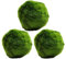 k2aqua 3 Large Marimo Moss Balls (4-5cm), Always Fresh Live Aquarium Plant, Cladophora aegagropila K2AQUA