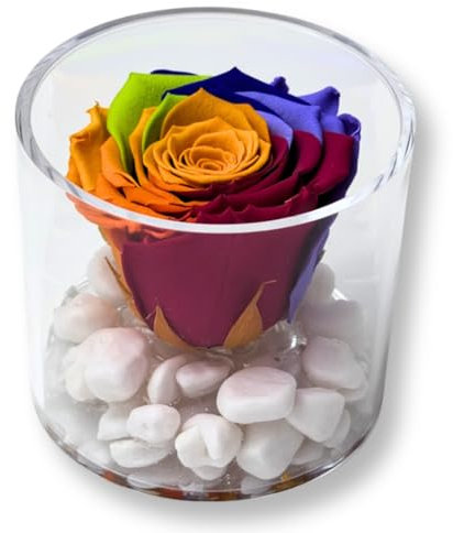 Premium-rose.com Box tondo con Rosa Multicolor Stabilizzata e Marmo di Carrara, Idea Regalo Unica e Raffinata, Idea regalo per lei, Natale, Cubo Rosa, Fatta in Italia (multicolor 1099)