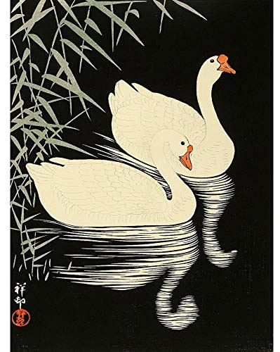 Wee Blue Coo Ohara Koson Schwäne Kunstplakat Ungerahmter großer Druck 46x61 cm
