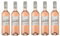 6x 0,75l - Fleur de d'Artagnan - Rosé - Côtes de Gascogne I.G.P. - Frankreich - Rosé-Wein trocken