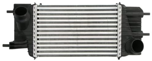 THERMOTEC DA1013TT Ladeluftkühler/LLK Turbokühler Kompatibel mit NISSAN JUKE F15 144611KB2A 144611KB2B