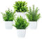 MukMlon Plantes Artificielles, Petites Plantes Vertes Simulées, Fausses Plantes en Plastique Simulé Originales pour la Décoration d'Intérieur, Balcon, Bureau, Salle de Bain 4 pcs (Blanc)