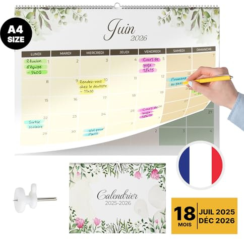 Finoly Kalender 2025/2026 Juli 25 bis Dezember 26 (18 Monate) Französisch | Wandkalender Jahreskalender 2025-2026 Wandkalender 30x21 cm (Natur)