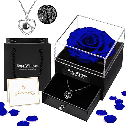 Ewige Echte Rose, Schmuck-Geschenkbox mit I Love You Halskette in 100 Sprachen Konservierte Rosen Blumen Freundin Frau Frauen zum Geburtstag Muttertag Hochzeit Jahrestag