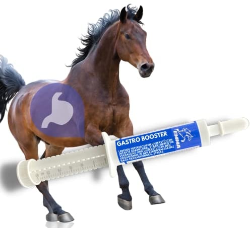 EMMA Bierhefe Pferd 30ml Magen Darm Booster Pferd - Probiotika Darmsanierung, Vitamin E Pferd I Hefekulturen Darmflora Aufbau Magen-Darm-Trakt I nach Kolik Kotwasser Durchfall Stoffwechsel Pferd