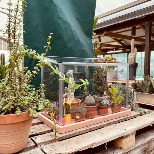 Il Giardino delle Idee minini serra Kore in Policarbonato compatto per piante grasse e ornamentali. Prodotta con lastre in policarbonato rigenerato e filtro UV. Dimensioni 73x34xh52/48cm.