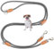 Leisegrün Hundeleine kleine Hunde leicht | Führleine 3m verstellbar mit 2 Karabiner | 3 Meter lang x 0,8 cm | Nur 200 g | Modell Devon | Grau