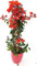 Bounganville rossa vaso 18cm grande bellissima