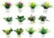 JZK 12x Miniature bonsai models, dollhouse plant set, artificial mini potted flower green plant for fairy garden, dolls house decoration accessories, kitchen window sill ornament