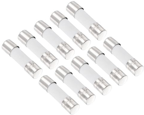 QUARKZMAN Fusible Retardé en Céramique 250V 5A 5mm x 20mm x 10Pcs pour Réparation D'Appareils Électriques, [Tonalité Argentée]