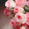 250 pz semi di rosa da piantare, semi di rosa, aiuola, tappezzante, pianta perenne le rose rampicanti sono resistenti fiori, aiuola di erbe Pianta fiori, piante rampicanti, rustiche,