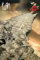 Grindstore Korn Maxi-Poster Follow The Leader, laminiert