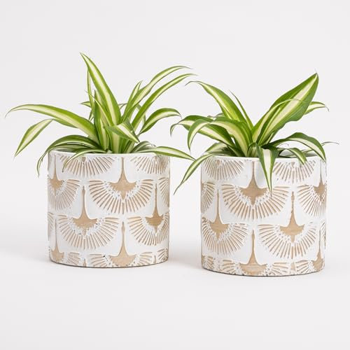 Vimin Box Coppia di Vasi in Terracotta, decorati a mano, BIANCO e ORO, per Piante e Fiori, Decorazione Casa, Diametro 11cm - 11cm (Bianco/Oro, 2x S)