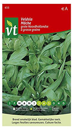 Semillas de canónigos - Hojas grandes, ricas en minerales y vitaminas